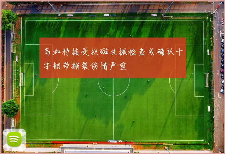 乌加特接受核磁共振检查或确认十字韧带撕裂伤情严重